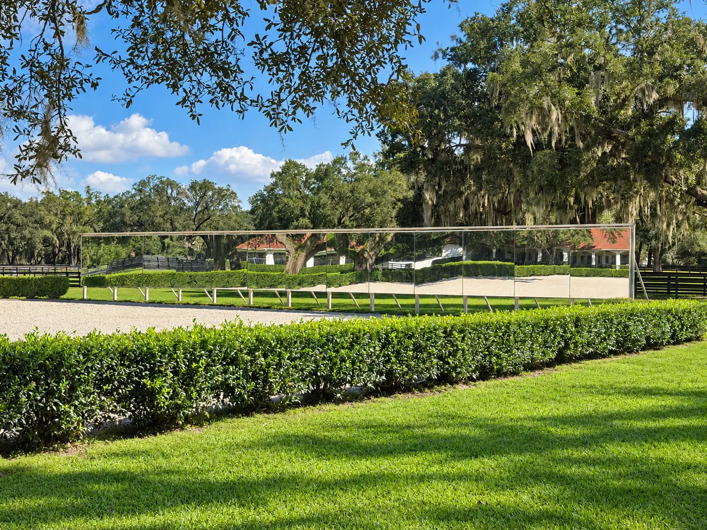 The long wall of dressage mirrors in white-framed panels reflecting the arena footing, hedges and a barn roof, bordered by manicured hedges and live oaks