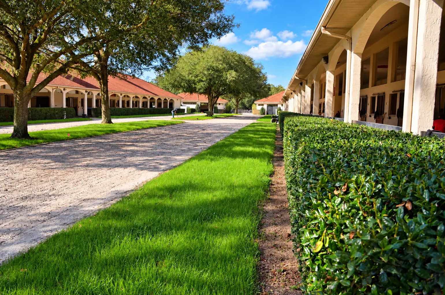The training barns at GoldMark Farm in golden light — a shaded lane running between cream stucco barns with terracotta tile roofs, arched colonnades and mature oaks