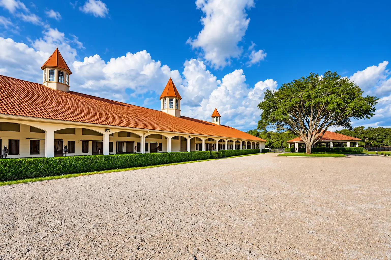 Wide view across the sand arena to the barn arched breezeway with horses at the stalls, a spreading oak and a covered pavilion beyond