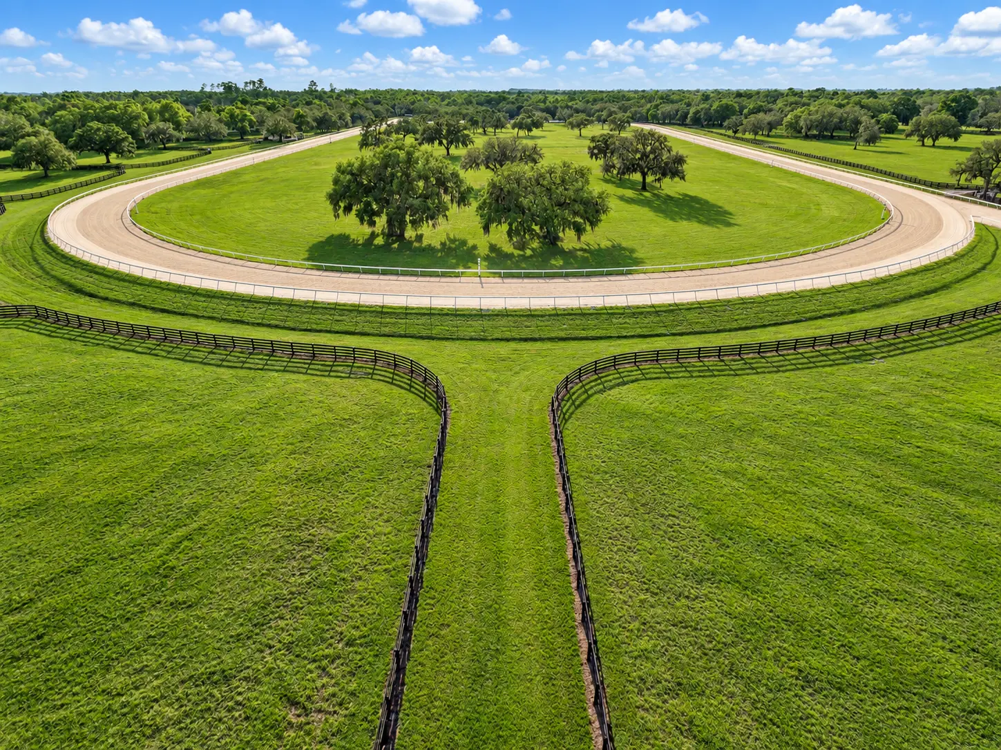 Aerial photo of the three-quarter-mile training track curving between oaks and paddocks