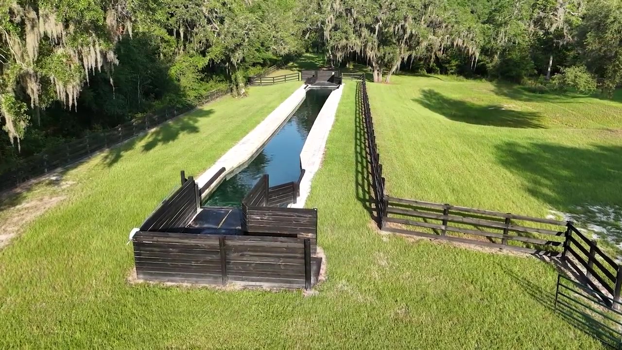 The equine swimming pool from above — a long lap channel between timber fences, bordered by oaks
