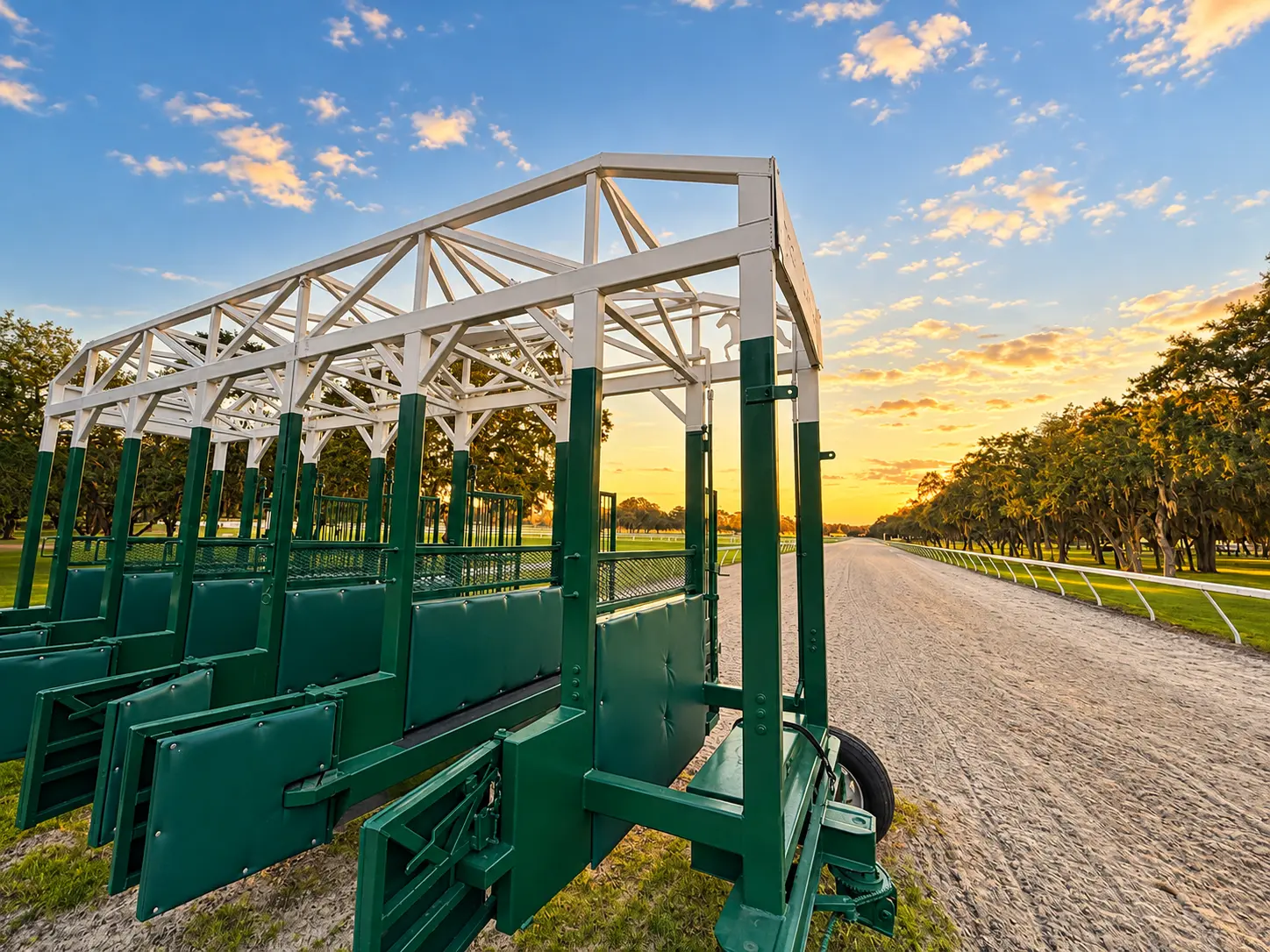 The starting gate seen close at an angle on the track lane, golden sunset light behind the oaks and the white running rail
