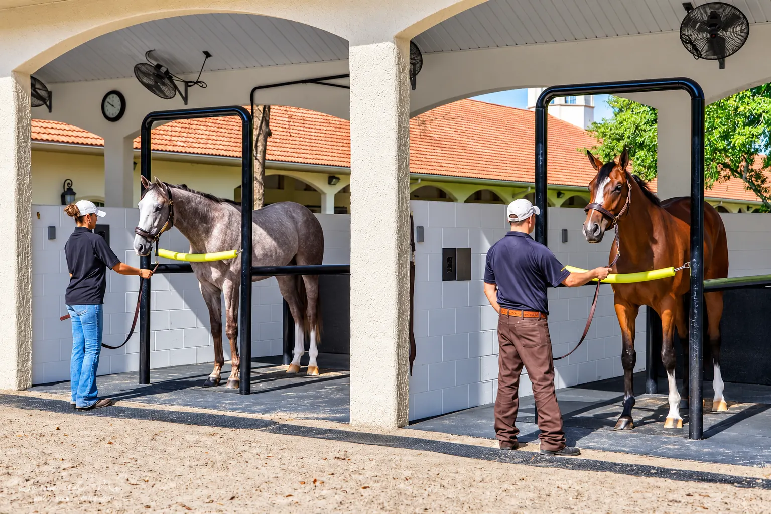Two horses standing in covered grooming bays fitted with padded safety bars, each attended by a handler