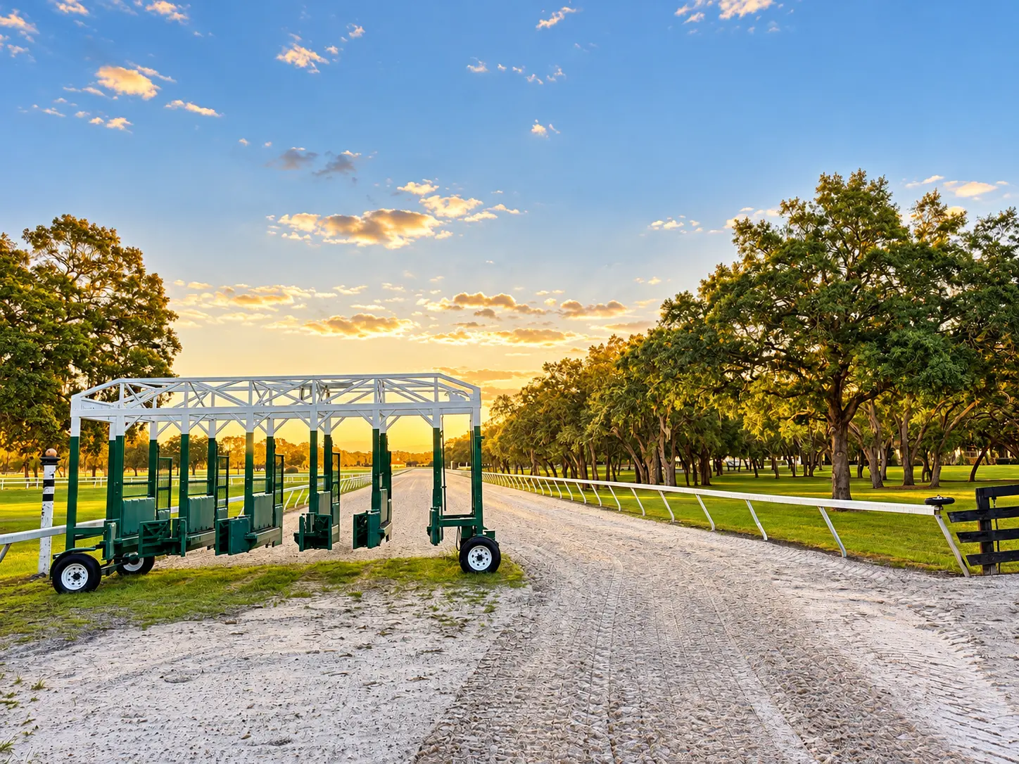 The full starting gate standing on the curving track with sunbeams breaking through the oaks under a blue sky