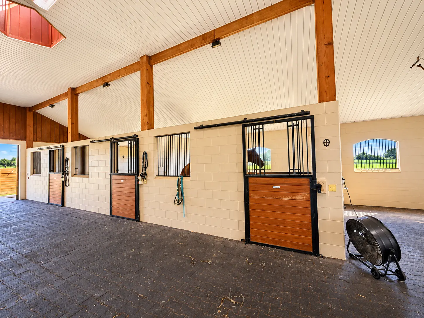 Stall fronts and a mobile stall fan along the barn aisle, halters hanging on hooks