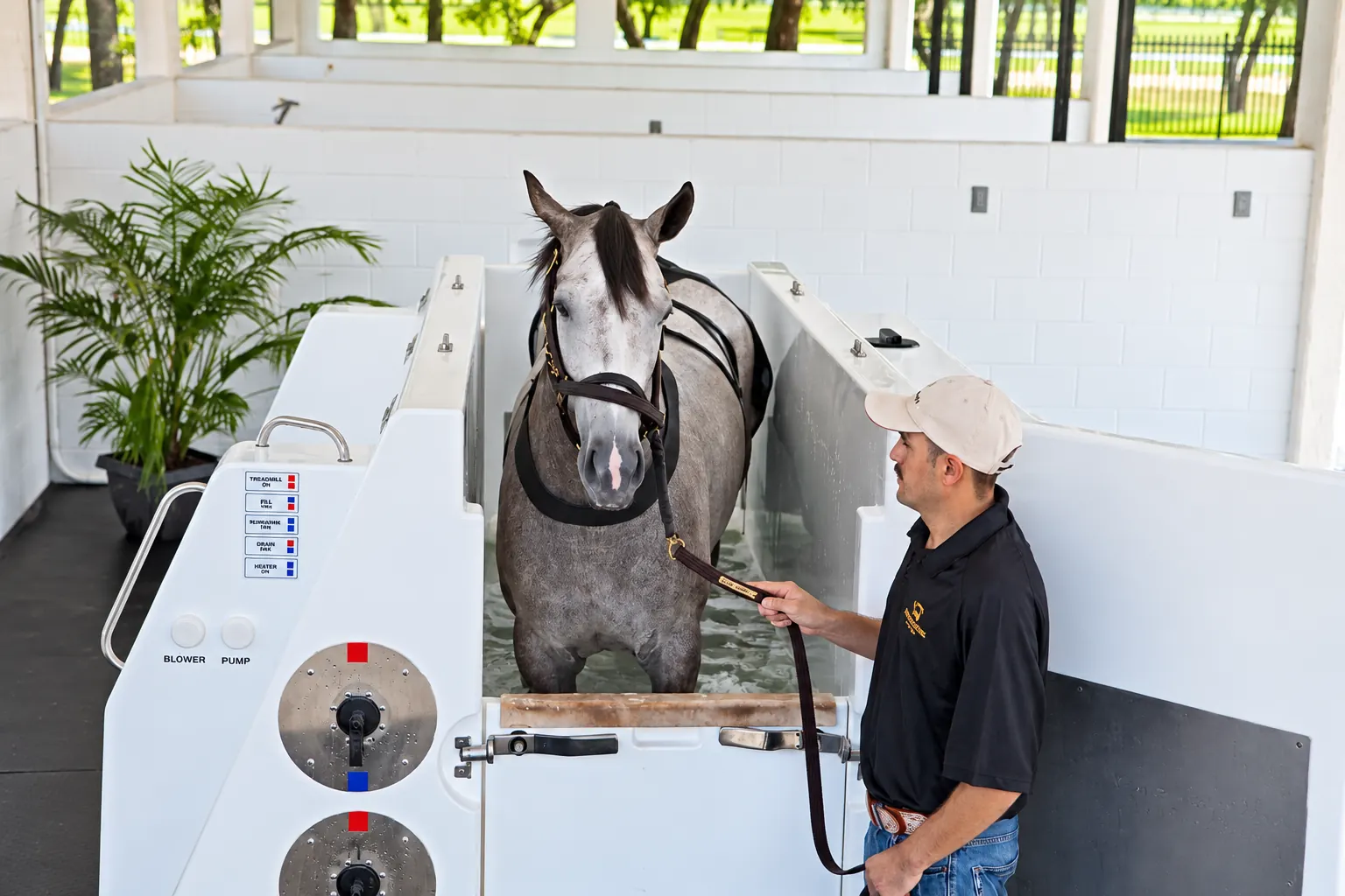 A gray horse standing in water on the underwater treadmill while a handler works alongside
