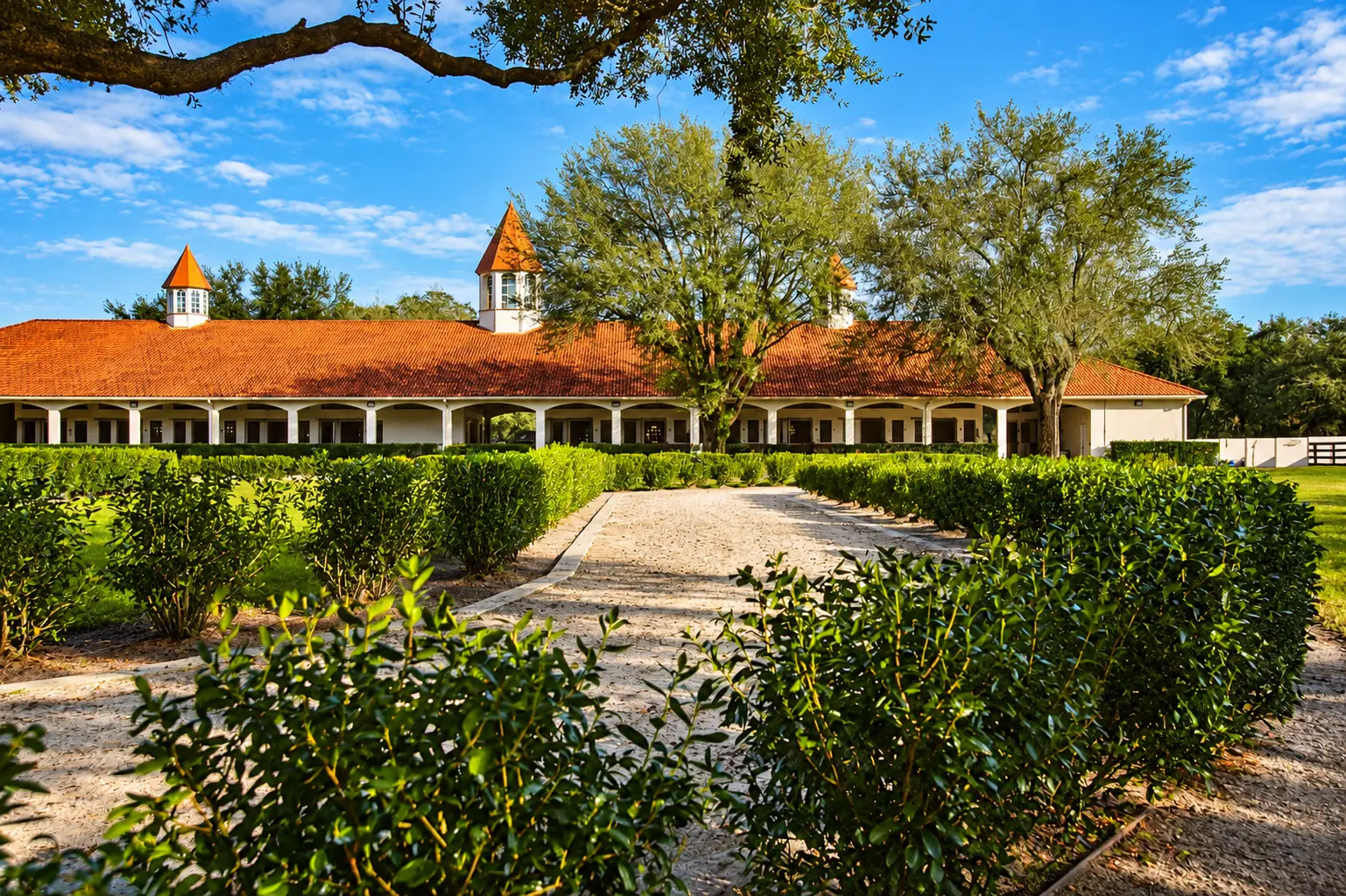 The GoldMark barns in golden light down a hedge-lined sand lane