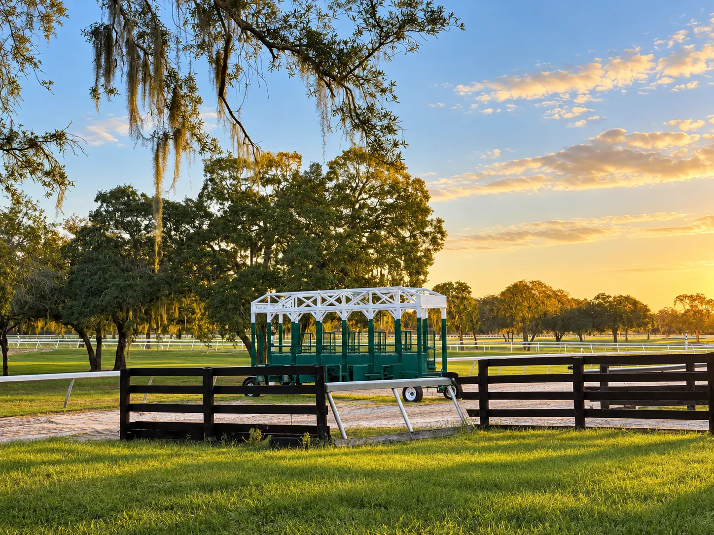 The starting gate beside the track beneath moss-draped oaks, a black four-board fence running across the foreground in golden light
