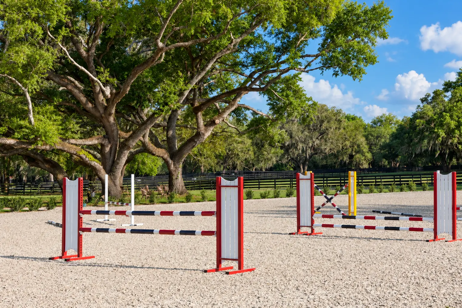 Show jumps in a sand arena framed by mature live oaks and black paddock fencing