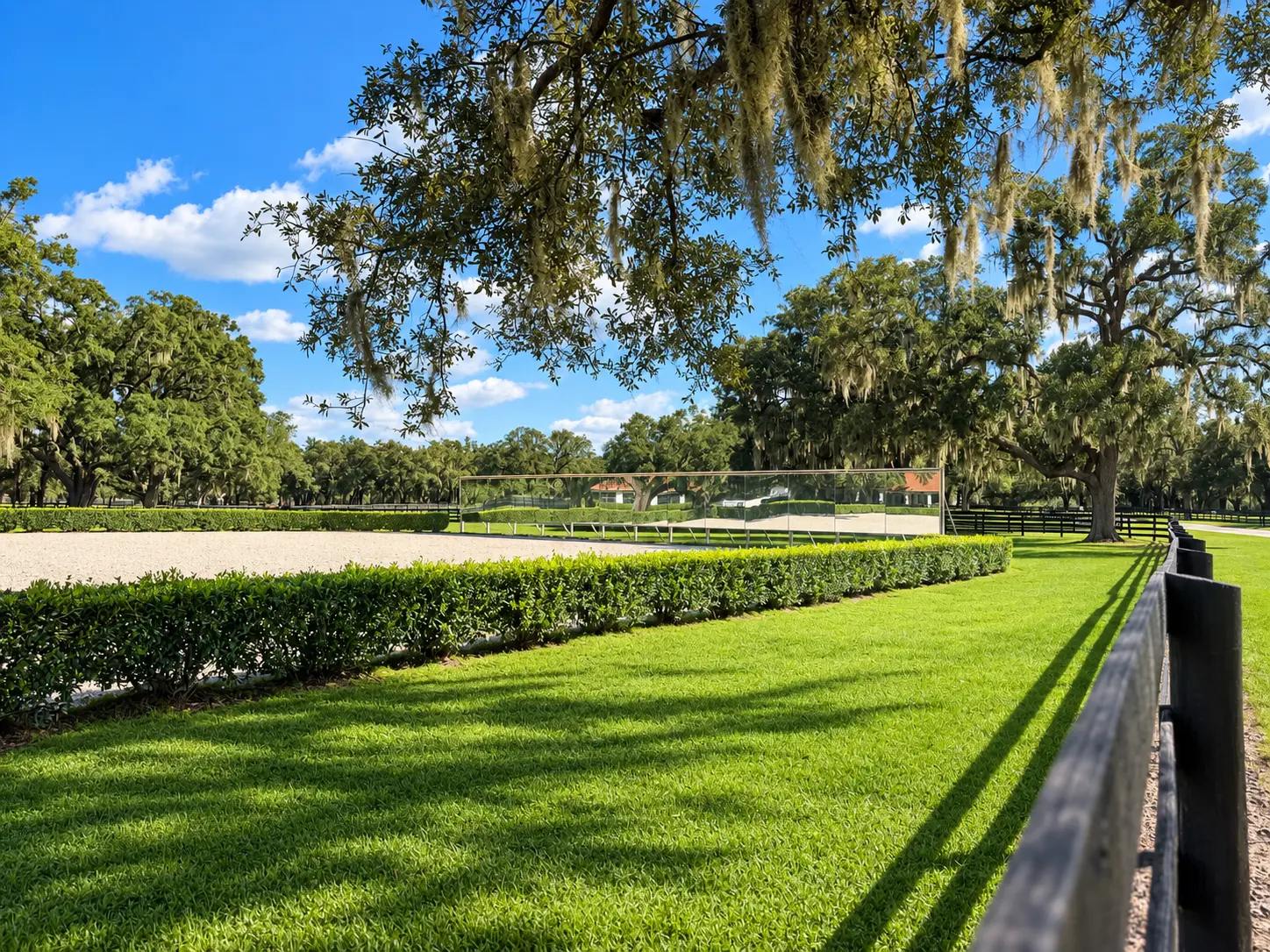 The dressage arena with its long wall of mirrors bordered by a low hedge, framed by an oak branch draped with Spanish moss