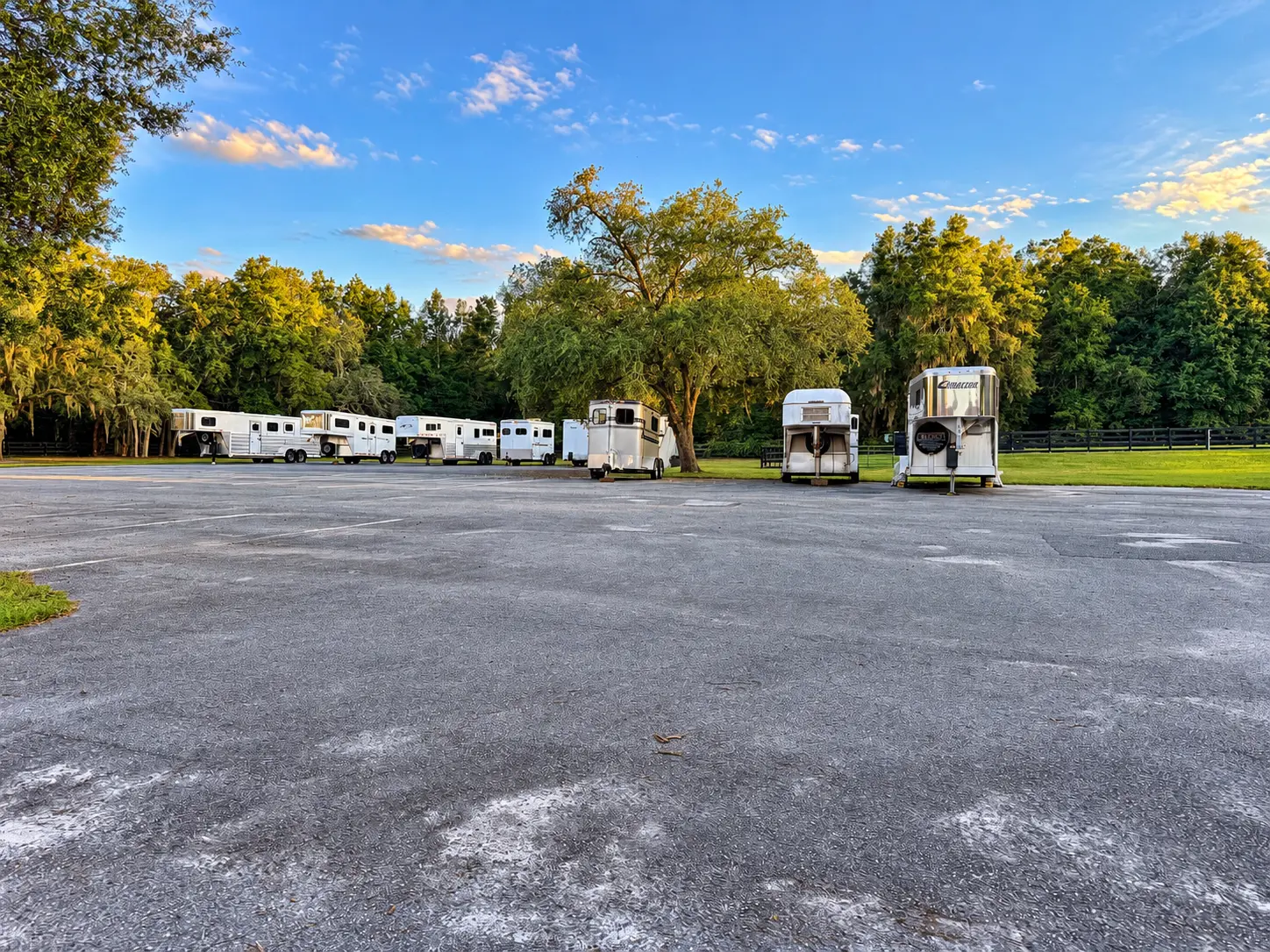 Horse trailers parked in the paved barn parking lot beneath a line of mature trees