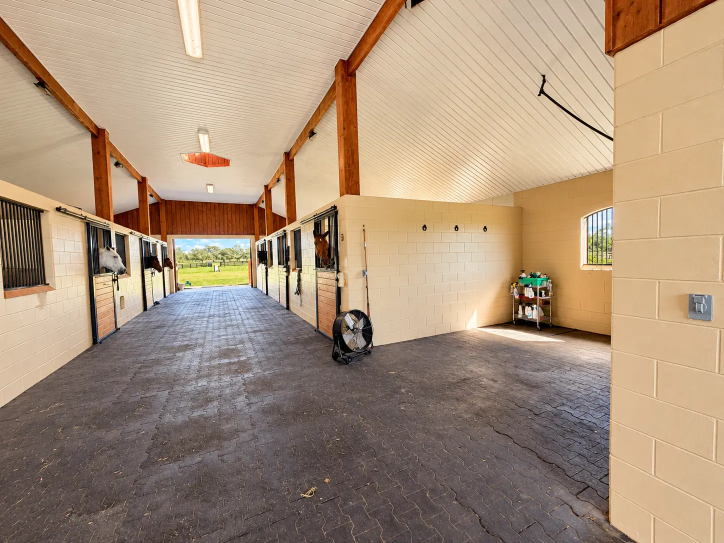 A wash and grooming bay opening off the aisle, with cross-ties and a stocked grooming cart