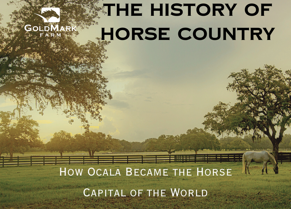 The History of Horse Country: How Ocala Became the Horse Capital of the World