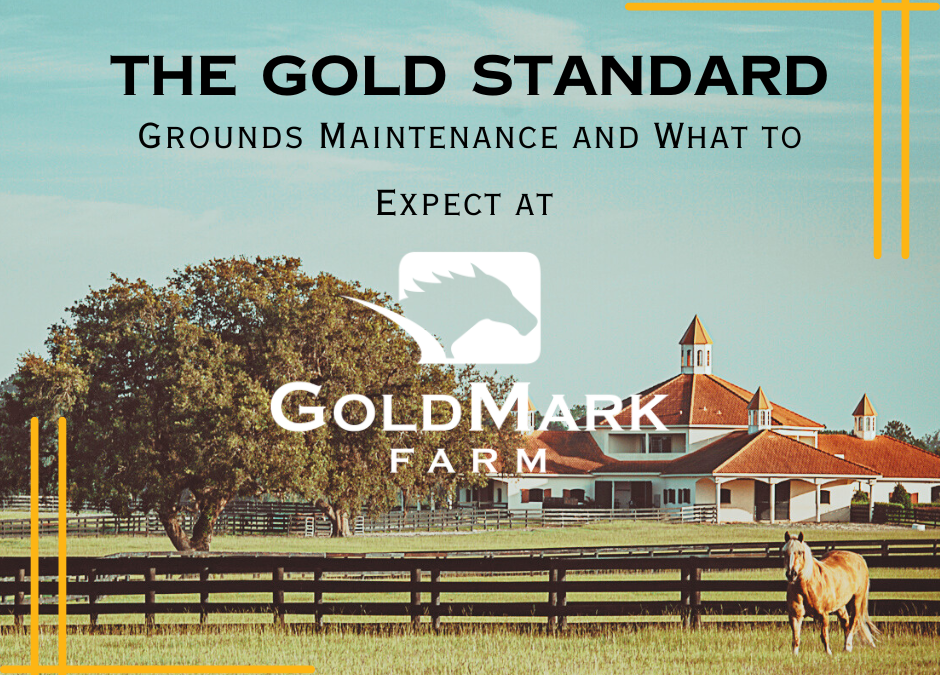 The Gold Standard: Grounds Maintenance and What to Expect at GoldMark