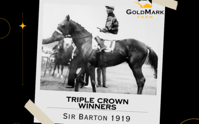 Triple Crown Winners: Sir Barton in 1919