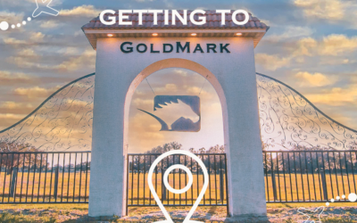 Getting to GoldMark Farm: A Premier Destination in Ocala’s Horse Country