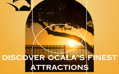 Discover Ocala’s Finest Attractions While Staying at GoldMark Farm