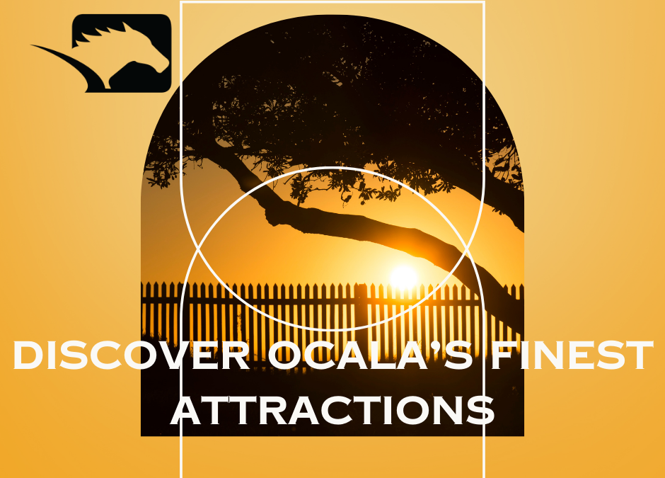 Discover Ocala’s Finest Attractions While Staying at GoldMark Farm