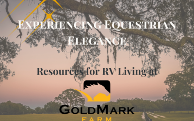 Experiencing Equestrian Elegance: Resources for RV Living at GoldMark Farm