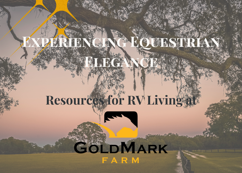 Experiencing Equestrian Elegance: Resources for RV Living at GoldMark Farm