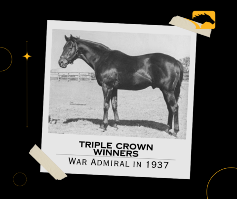 Triple Crown Winners in History | War Admiral in 1937