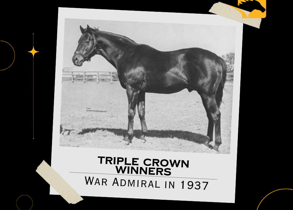 Triple Crown Winners: War Admiral in 1937