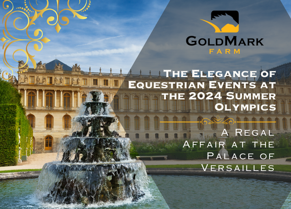 The Elegance of Equestrian Events at the 2024 Summer Olympics: A Regal Affair at the Palace of Versailles